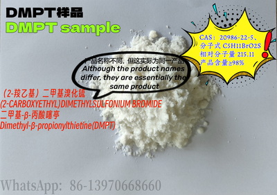 产品外观图片Product appearance picture