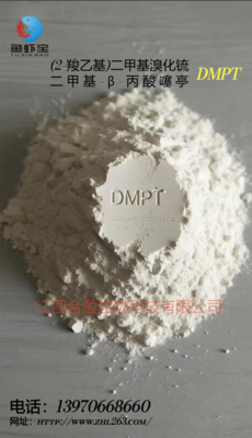 DMPT产品 &nbsp;&nbsp;&nbsp;DMPT product