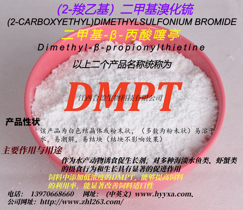 DMPT散装.png